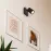 Luster Dolomit 1BL AS-DOG101B LS1