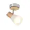 Luster Robin 1  AS-ROE141NW LS1