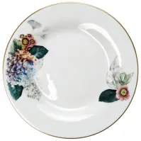 Tanier LP80 20x1,1 cm