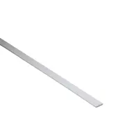 Profil plochý PCV biely 10x2mm 1m