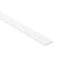 Profil plochý PCV biely 30x2mm 2.6m