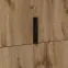 Skriňa 2d Montana 18  Dub Wotan,7