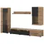 Obývacia Stena Roger 10 Dub Wotan/Cz.Mat,3