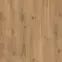Vinylová podlaha SPC+IXPE Buckeye Natural R278 5mm