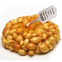 Cibuľa Shakespeare 300g