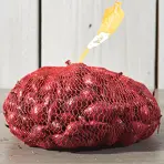 Cibuľa Romy Červená 300g