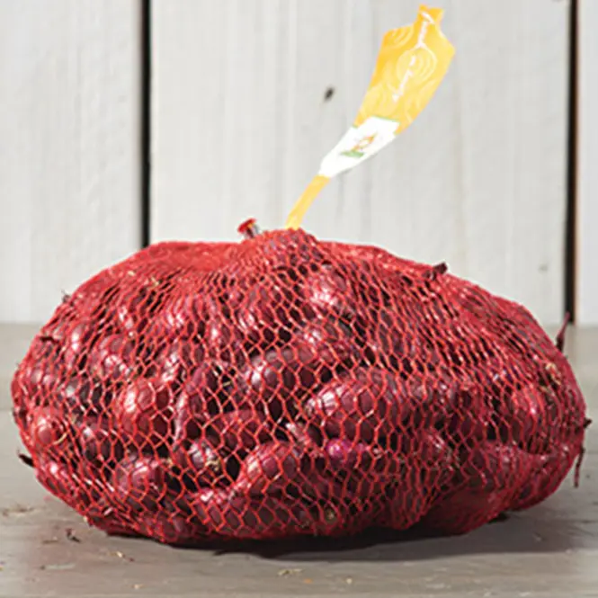 Cibuľa Romy Červená 300g