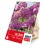 Cesnak Purple Sensation 3 ks