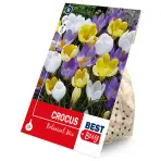 Crocus mix 15ks