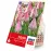 Tulipán mystic van eijk 5ks