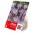 Crocus barrs purple 15ks