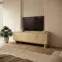TV stolík Nabu F 183 3d2s dub naolejovaný,6