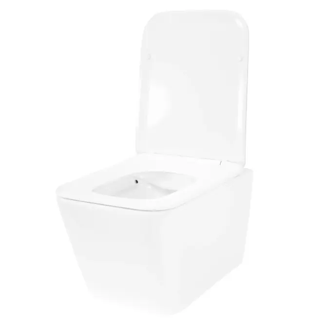 Závesná WC misa Julio Rimless