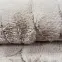 Koberec Rabbit Fur Cannes 1.6/2.3 Td2926-B1 taupe,9