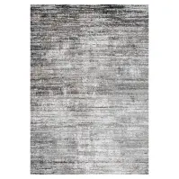Koberec Petra 0,8/1,5 04096a tmavosivý/taupe H092