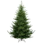 Stromček Kelvin 210 cm PE34170H934