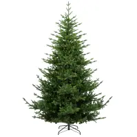 Stromček Kelvin 210 cm PE34170H934