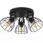 Luster Alano black 2123 PL3,4