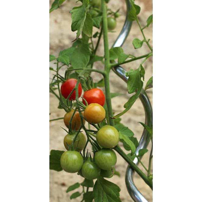 Špirálová tyč na paradajky MSR-6-180