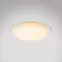 Stropná lampa 41310-30 LED 46cm