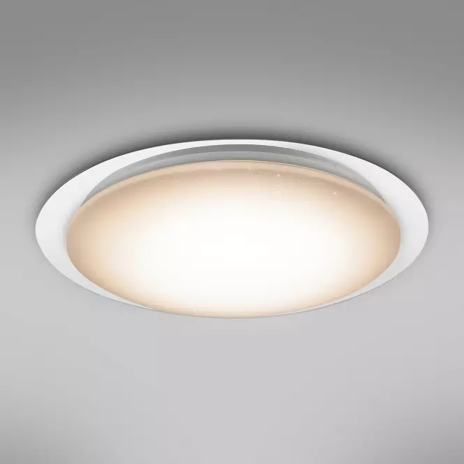 Stropná lampa 41310-60 LED 55cm