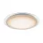Stropná lampa 41310-60 LED 55cm,4