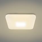 Stropna lampa 41337-24 LED 44X44cm