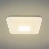Stropna lampa 41337-24 LED 44X44cm