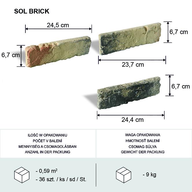 Sádrový Obkladový Kameň Sol Brick