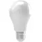 Žiarovka Led A55 7W E27 HD100,2
