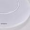 Stropná lampa Ringe LED 03282 16W 4000K,5