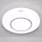 Stropná lampa Ringe LED 03283 24W 4000K