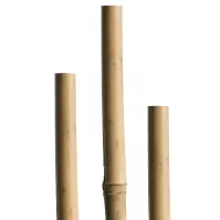 Bambusová tyč 150 cm 12/14 mm 05609