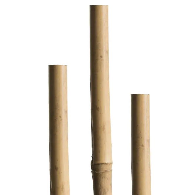 Bambusová tyč 150 cm 12/14 mm 05609