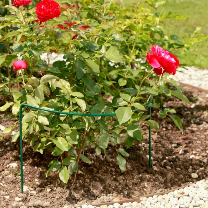 Opora pre rastliny  70 x 40 cm – 05656,4