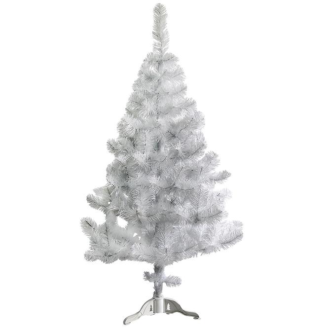 Vianočný stromček borovica biela 150