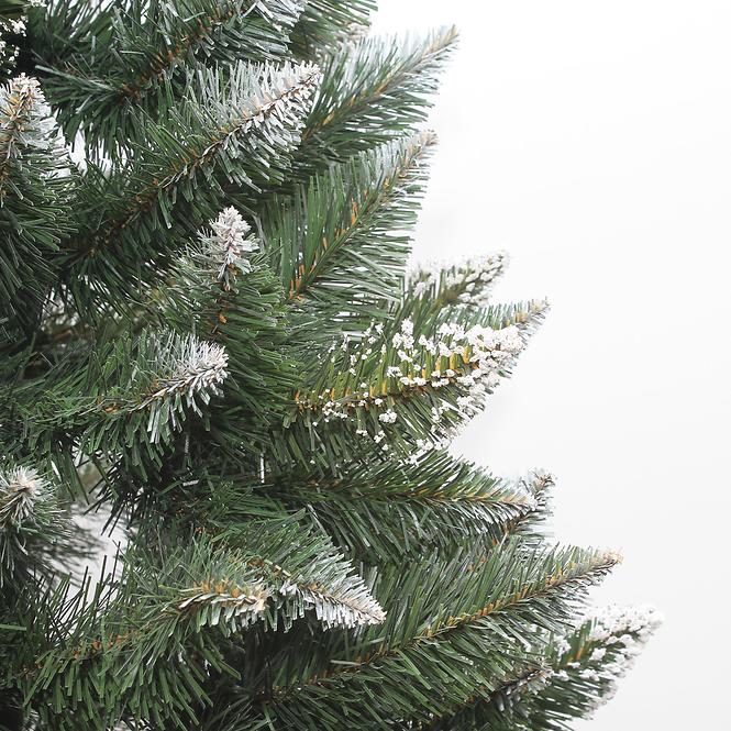 Vianočný stromček borovica novinka 220 cm