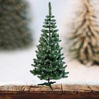 Vianočný stromček borovica biele konce 220 cm