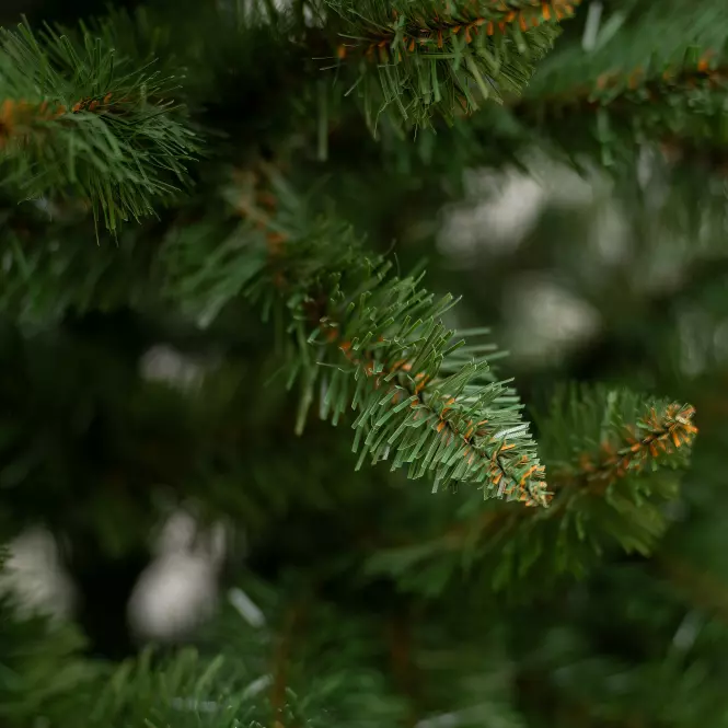 Vianočný stromček smrek lux 220 cm.