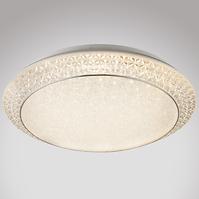 Stropná Lampa 41314-40