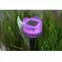 Solárna lampa  "TULIPANY" LED,5