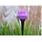 Solárna lampa  "TULIPANY" LED,6