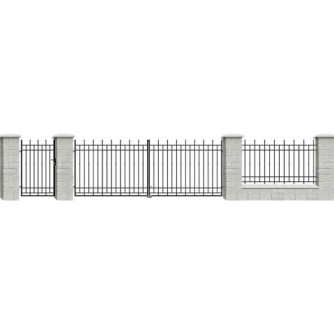 Plotový diel Brema 117,5x200 ral9005 w6161