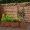 Plot R34 90x180 hnedý,3