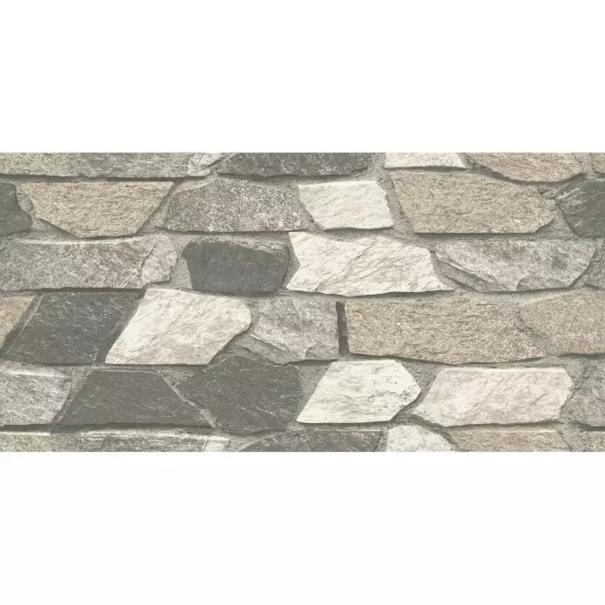 Fasádny obklad Jasper Grey/Super Stone gris 30/60,4