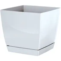 biela