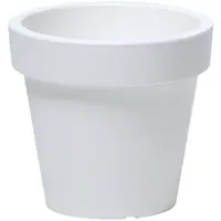 biela