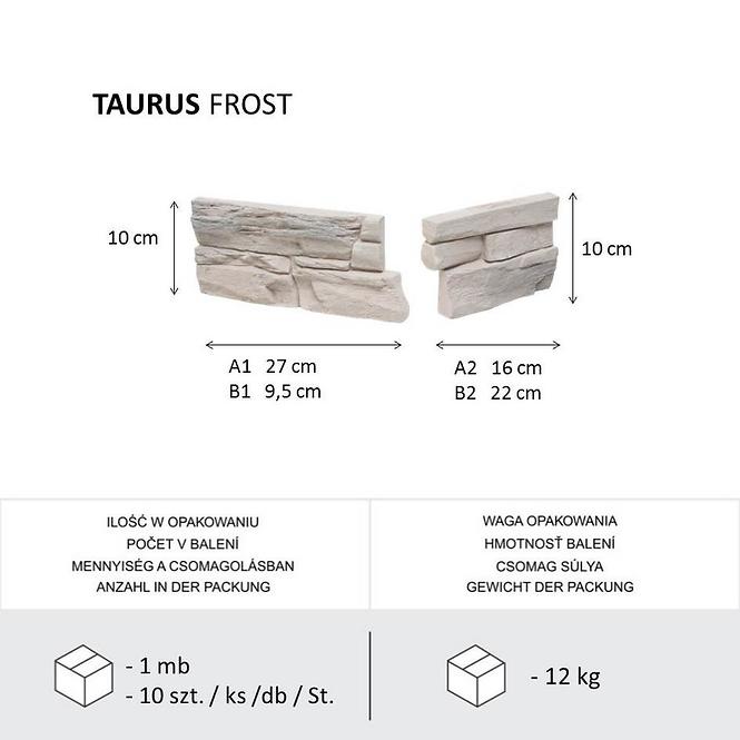 Betónový Obkladový Kameň Taurus Frost Rohový,4