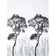 Textilný záves 150x200 mm W03391 stromy