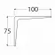Konzola pod policu WS 100 SZ100X75,2